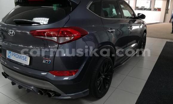 Tenga Tsaru Hyundai Tucson Nhema Mota in Beitbridge in Matabeleland South Tenga Tsaru Hyundai Tucson Nhema Mota in Beitbridge in Matabeleland South