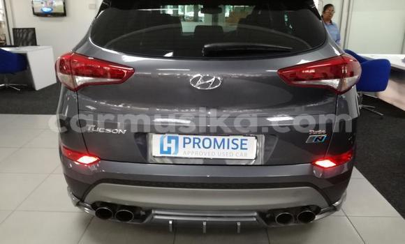 Tenga Tsaru Hyundai Tucson Nhema Mota in Beitbridge in Matabeleland South Tenga Tsaru Hyundai Tucson Nhema Mota in Beitbridge in Matabeleland South