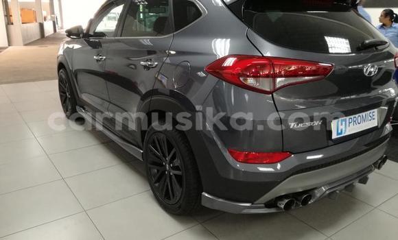 Tenga Tsaru Hyundai Tucson Nhema Mota in Beitbridge in Matabeleland South Tenga Tsaru Hyundai Tucson Nhema Mota in Beitbridge in Matabeleland South