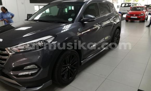 Tenga Tsaru Hyundai Tucson Nhema Mota in Beitbridge in Matabeleland South Tenga Tsaru Hyundai Tucson Nhema Mota in Beitbridge in Matabeleland South