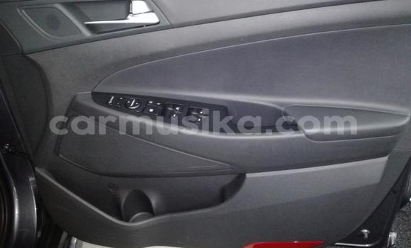 Tenga Tsaru Hyundai Tucson Nhema Mota in Beitbridge in Matabeleland South Tenga Tsaru Hyundai Tucson Nhema Mota in Beitbridge in Matabeleland South