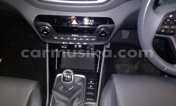 Tenga Tsaru Hyundai Tucson Nhema Mota in Beitbridge in Matabeleland South Tenga Tsaru Hyundai Tucson Nhema Mota in Beitbridge in Matabeleland South