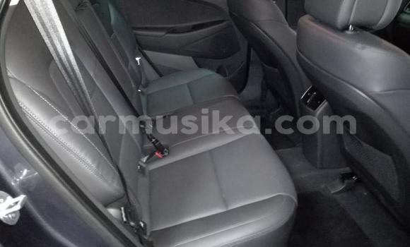 Tenga Tsaru Hyundai Tucson Nhema Mota in Beitbridge in Matabeleland South Tenga Tsaru Hyundai Tucson Nhema Mota in Beitbridge in Matabeleland South