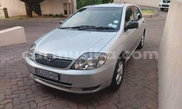 Acheter Occasion Voiture Toyota 4Runner Gris à Beitbridge, Matabeleland South Acheter Occasion Voiture Toyota 4Runner Gris à Beitbridge, Matabeleland South