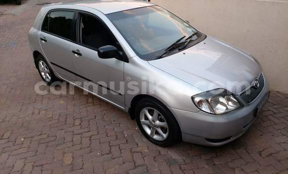 Acheter Occasion Voiture Toyota 4Runner Gris à Beitbridge, Matabeleland South Acheter Occasion Voiture Toyota 4Runner Gris à Beitbridge, Matabeleland South