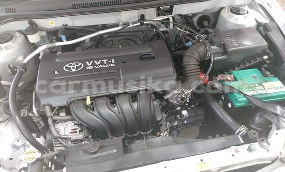 Acheter Occasion Voiture Toyota 4Runner Gris à Beitbridge, Matabeleland South Acheter Occasion Voiture Toyota 4Runner Gris à Beitbridge, Matabeleland South