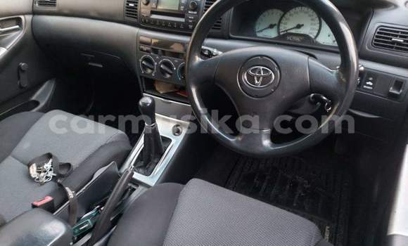 Acheter Occasion Voiture Toyota 4Runner Gris à Beitbridge, Matabeleland South Acheter Occasion Voiture Toyota 4Runner Gris à Beitbridge, Matabeleland South