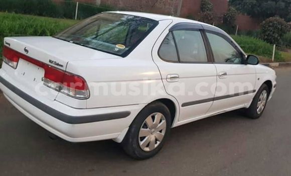 Tenga Tsaru Nissan Sunny Chena Mota in Harare in Harare Tenga Tsaru Nissan Sunny Chena Mota in Harare in Harare
