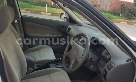 Tenga Tsaru Nissan Sunny Chena Mota in Harare in Harare Tenga Tsaru Nissan Sunny Chena Mota in Harare in Harare