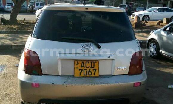 Acheter Occasion Voiture Toyota IST Gris à Harare, Harare Acheter Occasion Voiture Toyota IST Gris à Harare, Harare
