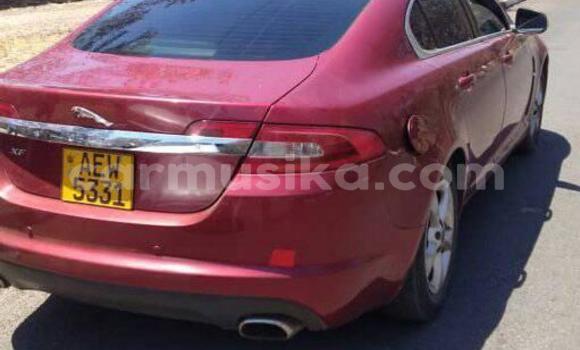 Nunua Ilio tumika Jaguar XF Nyekundu Gari ndani ya Harare nchini Harare