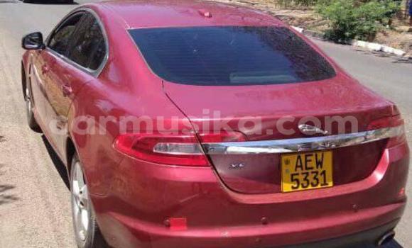 Acheter Occasion Voiture Jaguar XF Rouge à Harare, Harare Acheter Occasion Voiture Jaguar XF Rouge à Harare, Harare