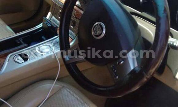Acheter Occasion Voiture Jaguar XF Rouge à Harare, Harare Acheter Occasion Voiture Jaguar XF Rouge à Harare, Harare