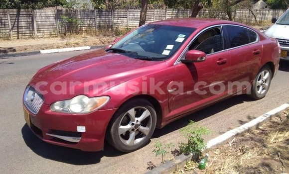 Acheter Occasion Voiture Jaguar XF Rouge à Harare, Harare Acheter Occasion Voiture Jaguar XF Rouge à Harare, Harare