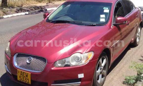 Acheter Occasion Voiture Jaguar XF Rouge à Harare, Harare Acheter Occasion Voiture Jaguar XF Rouge à Harare, Harare