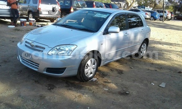 Acheter Occasion Voiture Toyota Runx Gris à Harare, Harare Acheter Occasion Voiture Toyota Runx Gris à Harare, Harare