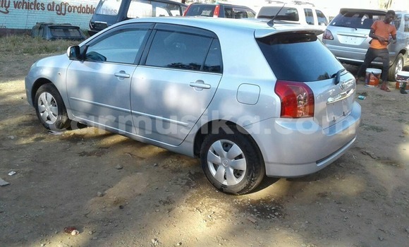 Acheter Occasion Voiture Toyota Runx Gris à Harare, Harare Acheter Occasion Voiture Toyota Runx Gris à Harare, Harare
