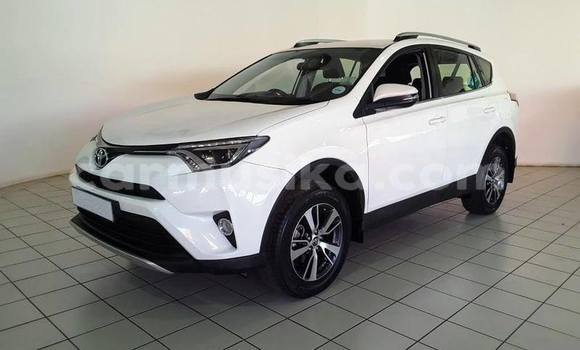 Tenga Tsaru Toyota RAV4 Chena Mota in Harare in Harare Tenga Tsaru Toyota RAV4 Chena Mota in Harare in Harare
