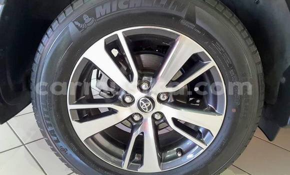 Tenga Tsaru Toyota RAV4 Chena Mota in Harare in Harare Tenga Tsaru Toyota RAV4 Chena Mota in Harare in Harare