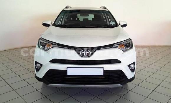 Tenga Tsaru Toyota RAV4 Chena Mota in Harare in Harare Tenga Tsaru Toyota RAV4 Chena Mota in Harare in Harare