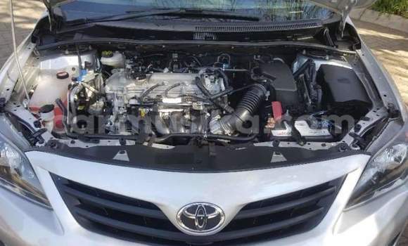 Acheter Occasion Voiture Toyota Hilux Blanc à Beitbridge, Matabeleland South Acheter Occasion Voiture Toyota Hilux Blanc à Beitbridge, Matabeleland South