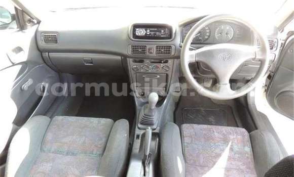 Tenga Tsaru Toyota Corolla Chena Mota in Beitbridge in Matabeleland South Tenga Tsaru Toyota Corolla Chena Mota in Beitbridge in Matabeleland South