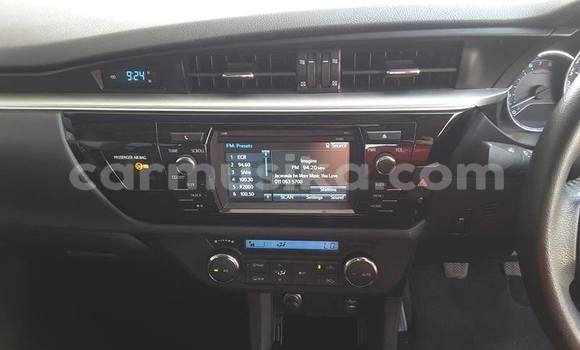 Tenga Tsaru Toyota Corolla Chena Mota in Harare in Harare Tenga Tsaru Toyota Corolla Chena Mota in Harare in Harare