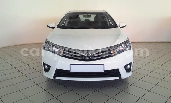 Tenga Tsaru Toyota Corolla Chena Mota in Harare in Harare Tenga Tsaru Toyota Corolla Chena Mota in Harare in Harare
