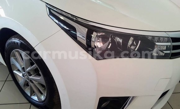 Tenga Tsaru Toyota Corolla Chena Mota in Harare in Harare Tenga Tsaru Toyota Corolla Chena Mota in Harare in Harare