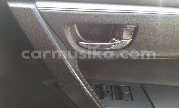 Tenga Tsaru Toyota Corolla Chena Mota in Harare in Harare Tenga Tsaru Toyota Corolla Chena Mota in Harare in Harare