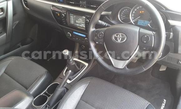 Tenga Tsaru Toyota Corolla Chena Mota in Harare in Harare Tenga Tsaru Toyota Corolla Chena Mota in Harare in Harare