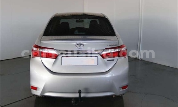 Acheter Occasion Voiture Toyota Corolla Gris à Beitbridge, Matabeleland South Acheter Occasion Voiture Toyota Corolla Gris à Beitbridge, Matabeleland South