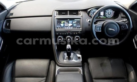 Tenga Tsaru Jaguar E-Pace Bhuruu Mota in Harare in Harare Tenga Tsaru Jaguar E-Pace Bhuruu Mota in Harare in Harare