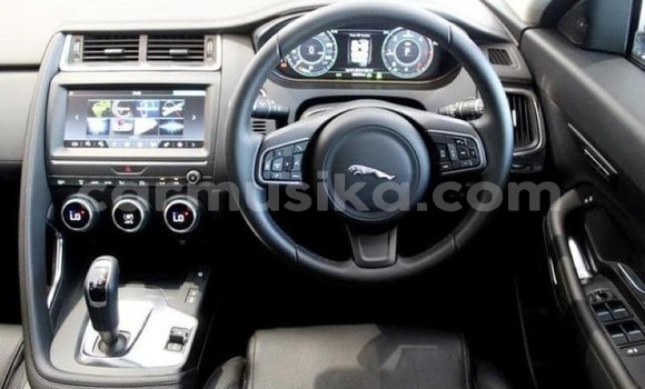 Tenga Tsaru Jaguar E-Pace Bhuruu Mota in Harare in Harare Tenga Tsaru Jaguar E-Pace Bhuruu Mota in Harare in Harare