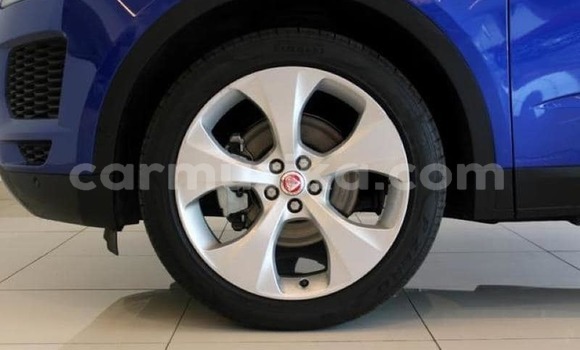 Tenga Tsaru Jaguar E-Pace Bhuruu Mota in Harare in Harare Tenga Tsaru Jaguar E-Pace Bhuruu Mota in Harare in Harare