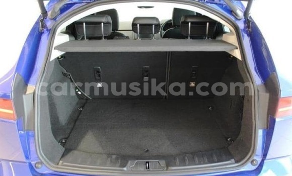 Tenga Tsaru Jaguar E-Pace Bhuruu Mota in Harare in Harare Tenga Tsaru Jaguar E-Pace Bhuruu Mota in Harare in Harare