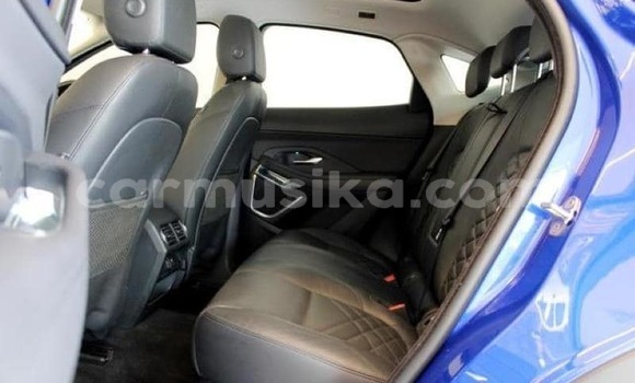 Tenga Tsaru Jaguar E-Pace Bhuruu Mota in Harare in Harare Tenga Tsaru Jaguar E-Pace Bhuruu Mota in Harare in Harare