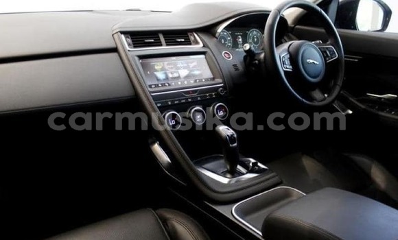 Tenga Tsaru Jaguar E-Pace Bhuruu Mota in Harare in Harare Tenga Tsaru Jaguar E-Pace Bhuruu Mota in Harare in Harare