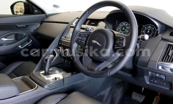 Tenga Tsaru Jaguar E-Pace Bhuruu Mota in Harare in Harare Tenga Tsaru Jaguar E-Pace Bhuruu Mota in Harare in Harare