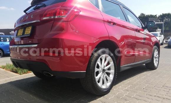 Acheter Occasion Voiture Haval H2 Rouge à Beitbridge, Matabeleland South Acheter Occasion Voiture Haval H2 Rouge à Beitbridge, Matabeleland South