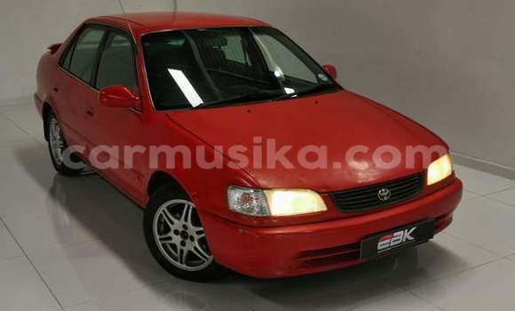 Buy Used Toyota Corolla Red Car in Beitbridge in Matabeleland South Buy Used Toyota Corolla Red Car in Beitbridge in Matabeleland South