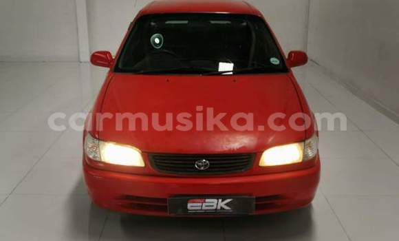 Buy Used Toyota Corolla Red Car in Beitbridge in Matabeleland South Buy Used Toyota Corolla Red Car in Beitbridge in Matabeleland South