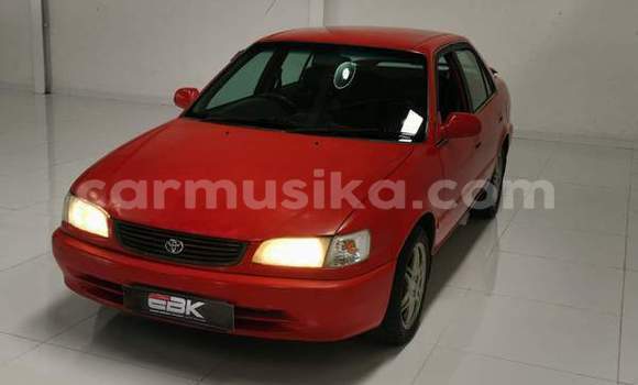 Buy Used Toyota Corolla Red Car in Beitbridge in Matabeleland South Buy Used Toyota Corolla Red Car in Beitbridge in Matabeleland South
