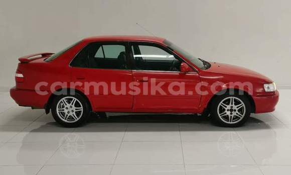 Buy Used Toyota Corolla Red Car in Beitbridge in Matabeleland South Buy Used Toyota Corolla Red Car in Beitbridge in Matabeleland South