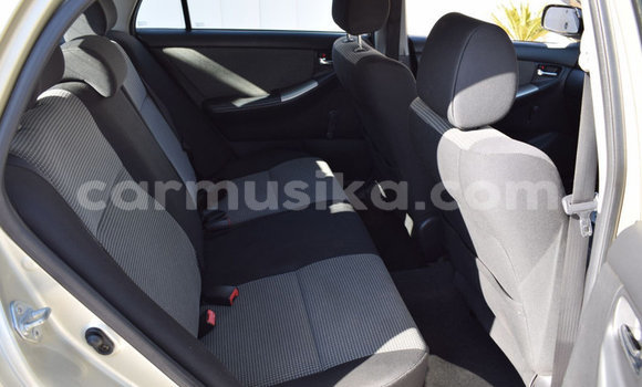 Acheter Occasion Voiture Toyota Runx Autre à Beitbridge, Matabeleland South Acheter Occasion Voiture Toyota Runx Autre à Beitbridge, Matabeleland South