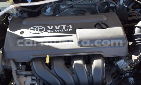 Acheter Occasion Voiture Toyota Runx Autre à Beitbridge, Matabeleland South Acheter Occasion Voiture Toyota Runx Autre à Beitbridge, Matabeleland South