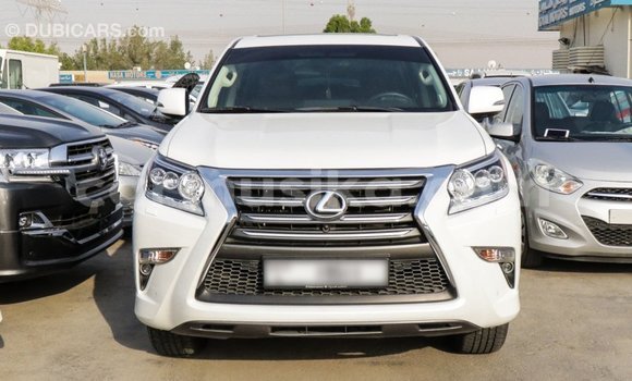 Acheter Import Voiture Lexus GX Blanc à Import - Dubai, Harare Acheter Import Voiture Lexus GX Blanc à Import - Dubai, Harare