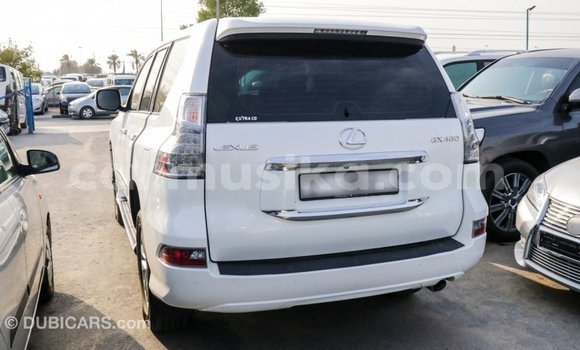 Acheter Import Voiture Lexus GX Blanc à Import - Dubai, Harare Acheter Import Voiture Lexus GX Blanc à Import - Dubai, Harare