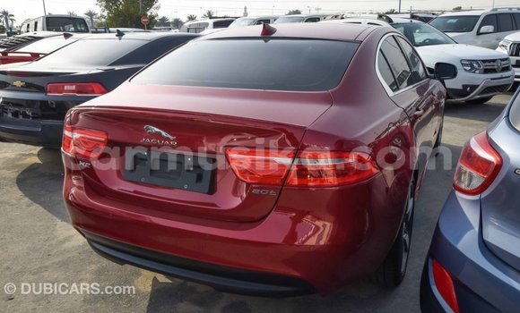 Tenga Imported Jaguar XE Tsvuku Mota in Import - Dubai in Harare Tenga Imported Jaguar XE Tsvuku Mota in Import - Dubai in Harare
