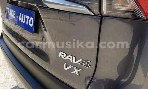 Tenga Tsaru Toyota RAV4 Nhema Mota in Beitbridge in Matabeleland South Tenga Tsaru Toyota RAV4 Nhema Mota in Beitbridge in Matabeleland South